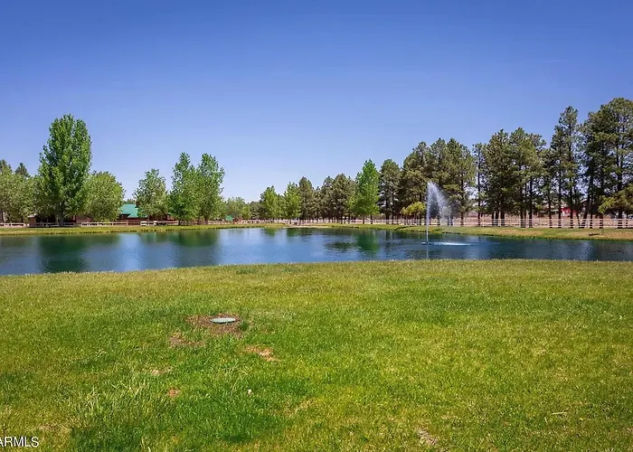 Bison Ranch Overgaard